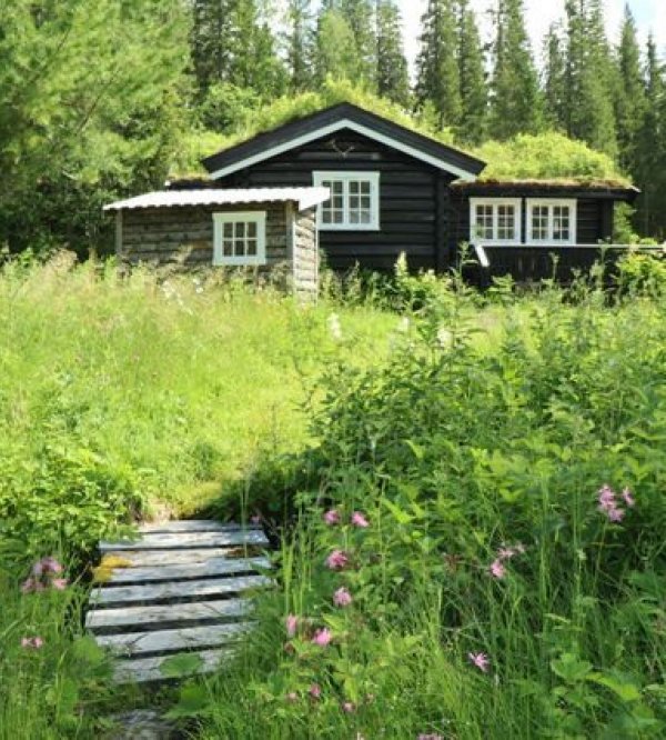 Velfjord Camping & Hytter — Photo 3