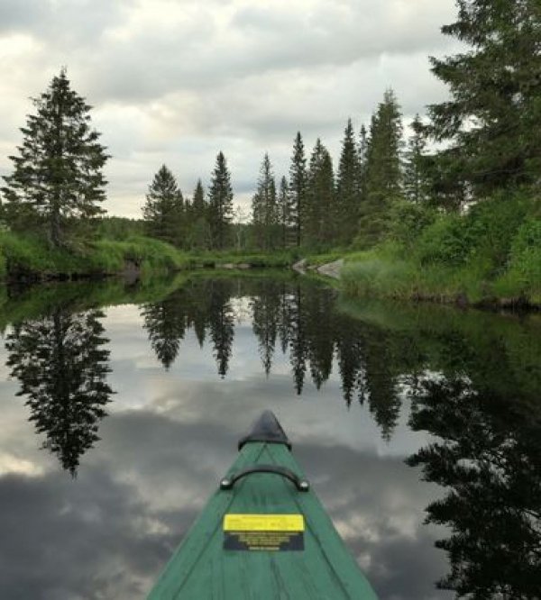 Velfjord Camping & Hytter — Photo 4