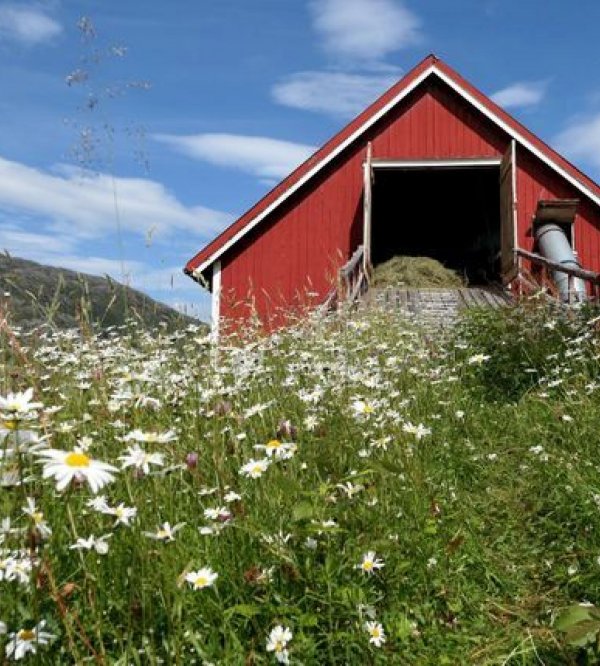Velfjord Camping & Hytter — Foto 6
