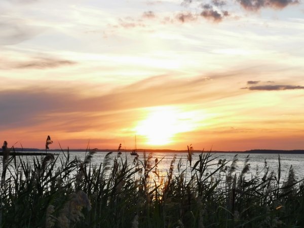 Słoneczne Zdory — Kemping in Zdory