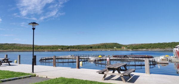 Norsk Havbrukssenter — Photo 4