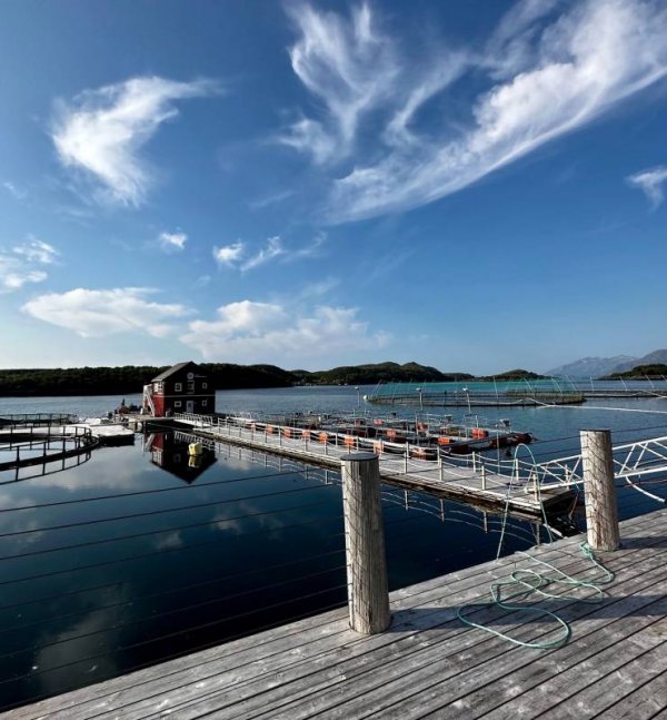 Norsk Havbrukssenter — Foto 3