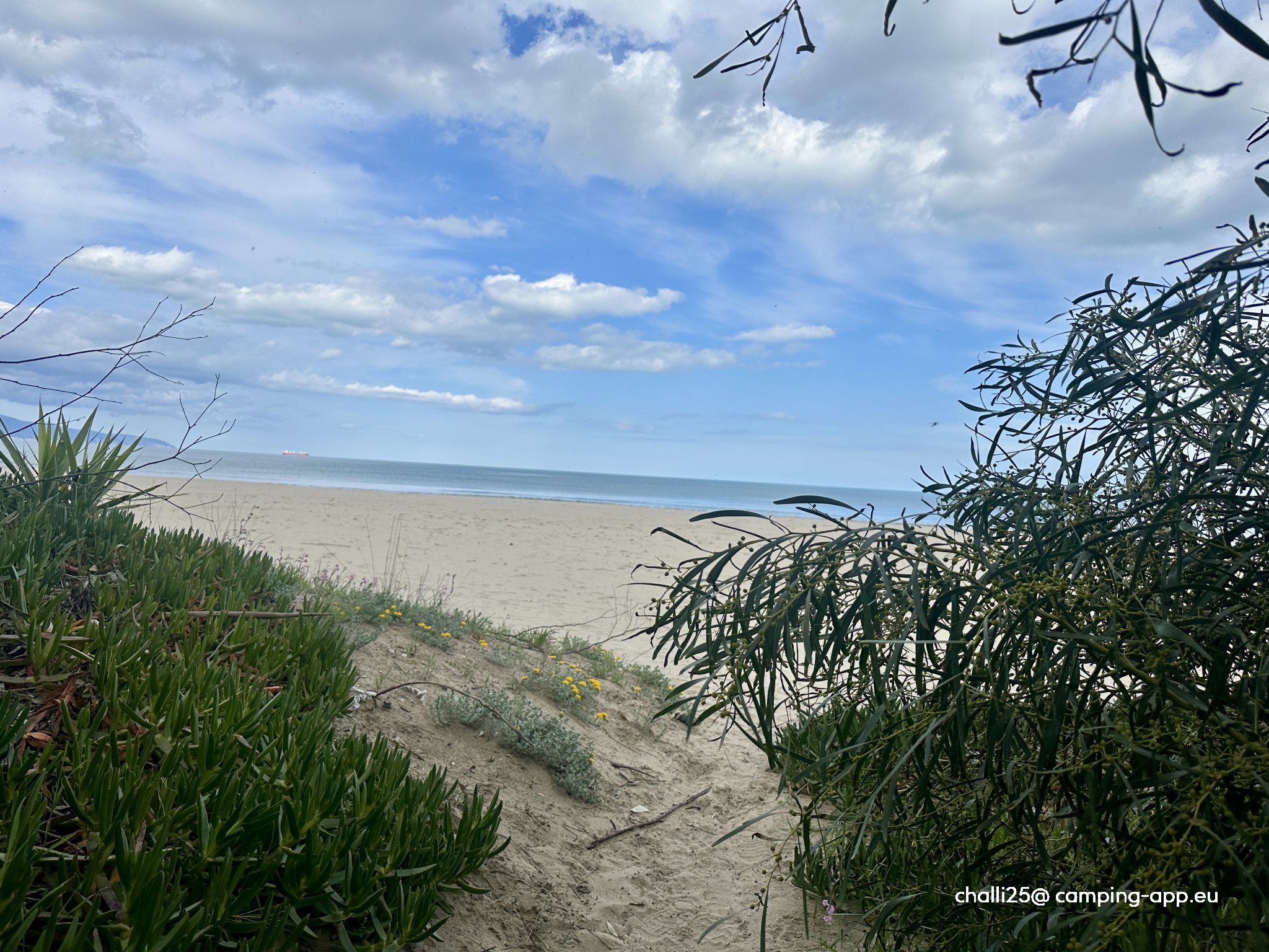 Camping Lido Salpi — Foto 6