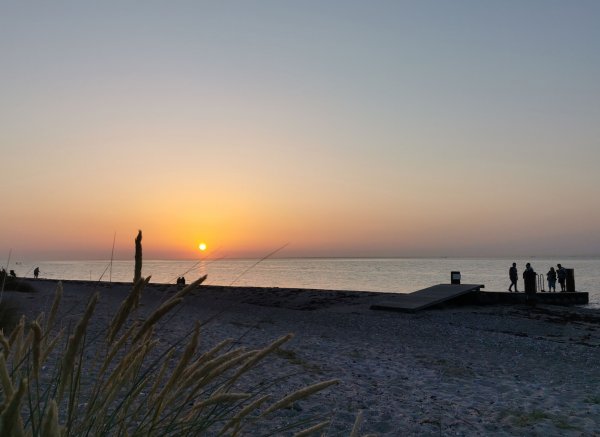 Campingplatz Am Niobe — Photo 2