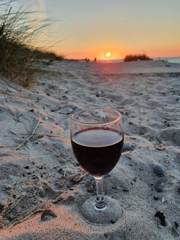 Campingplatz Am Niobe — Photo 3