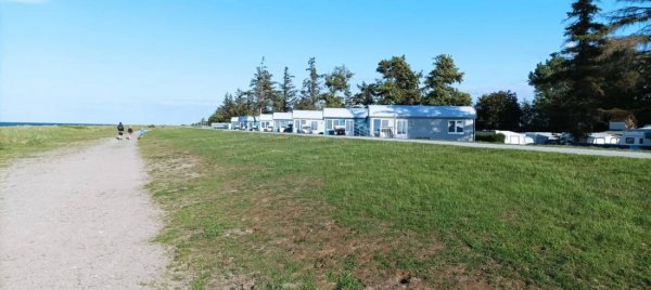 Campingplatz Am Niobe — Photo 6