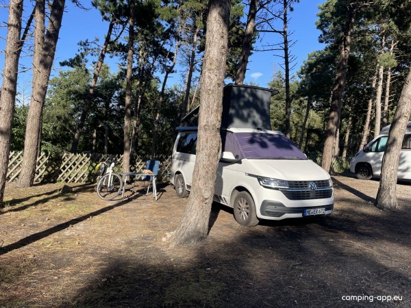 Campingplatz Am Niobe — Photo 4