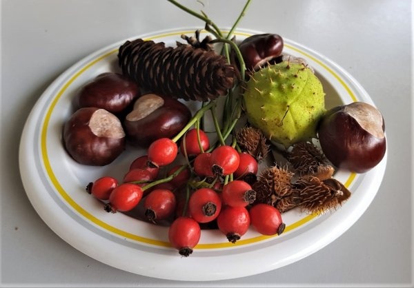 Camping Sägmühle — Kemp in Trippstadt