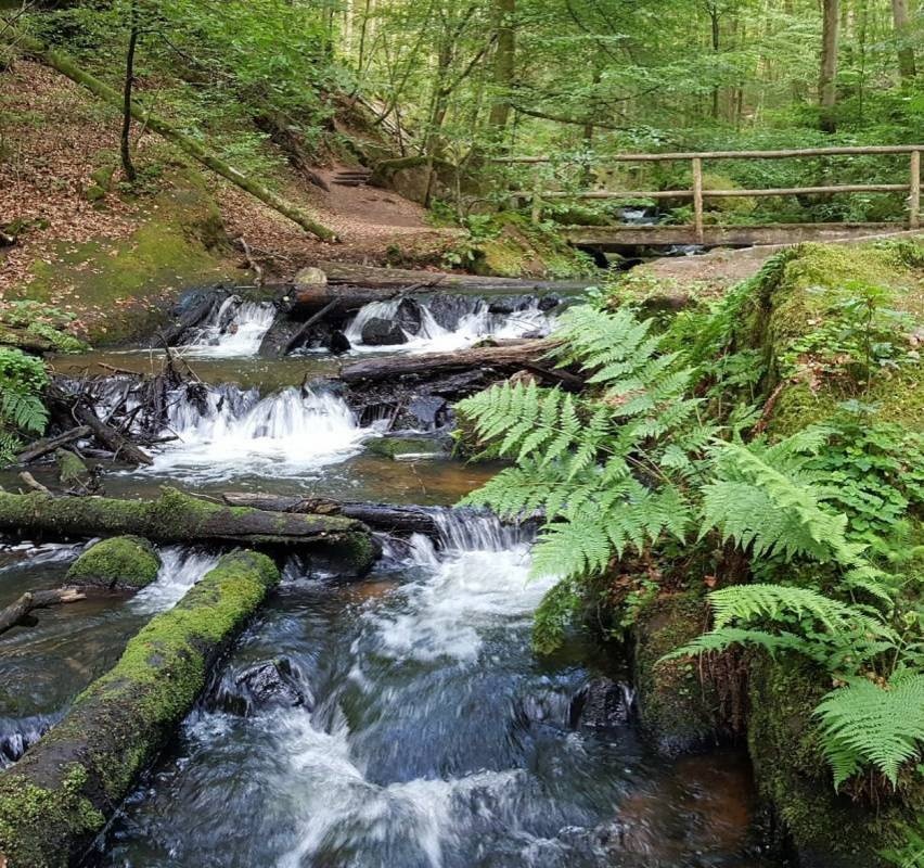 Camping Sägmühle — Campingplats in Trippstadt