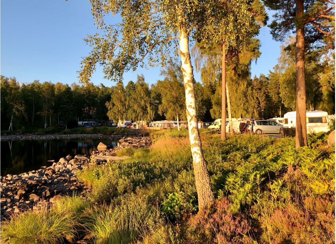 Älghult — Cámping in Dubberås