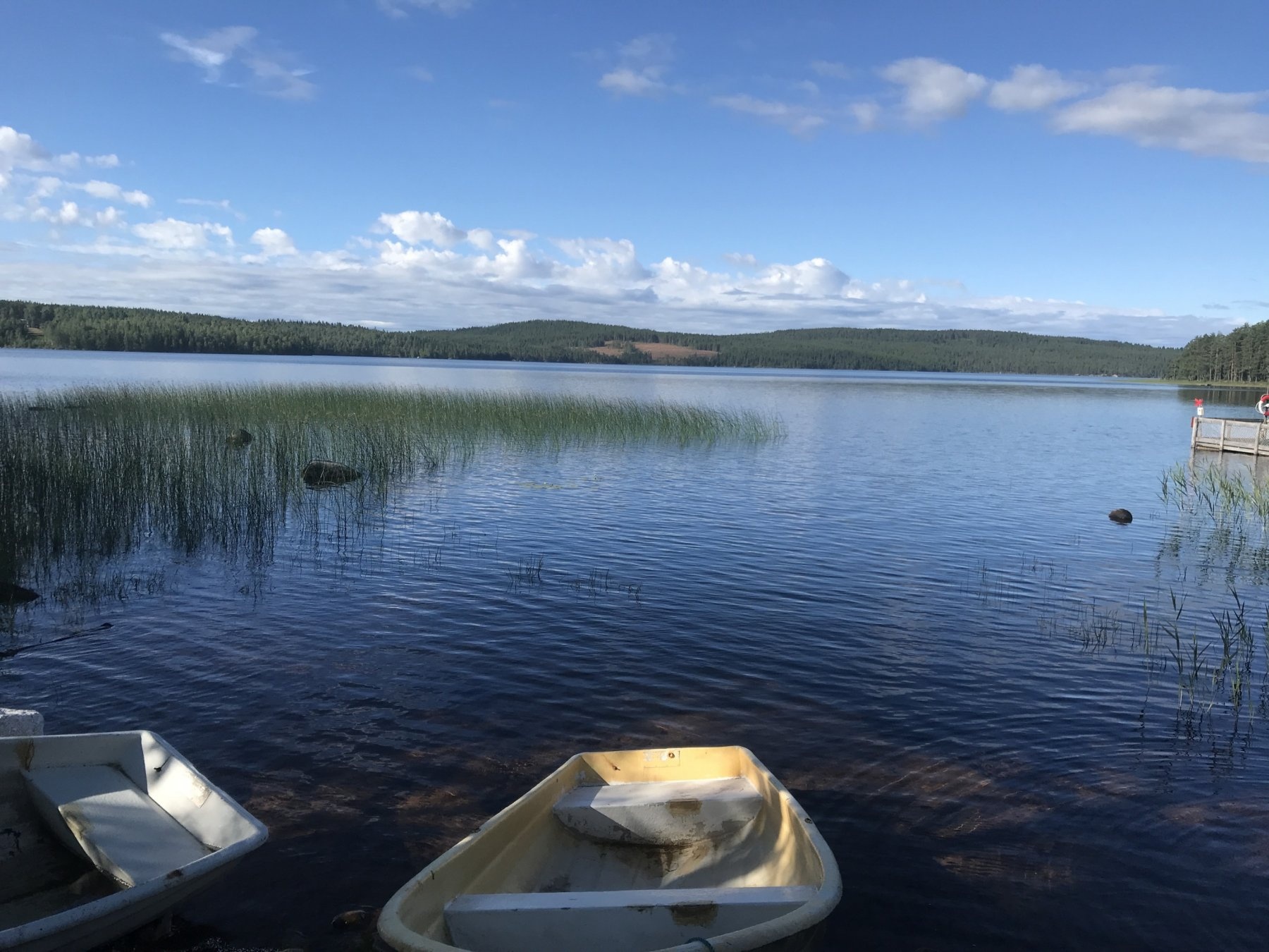 Tyngsjö Vildmark — Campingplass in Äppelbo