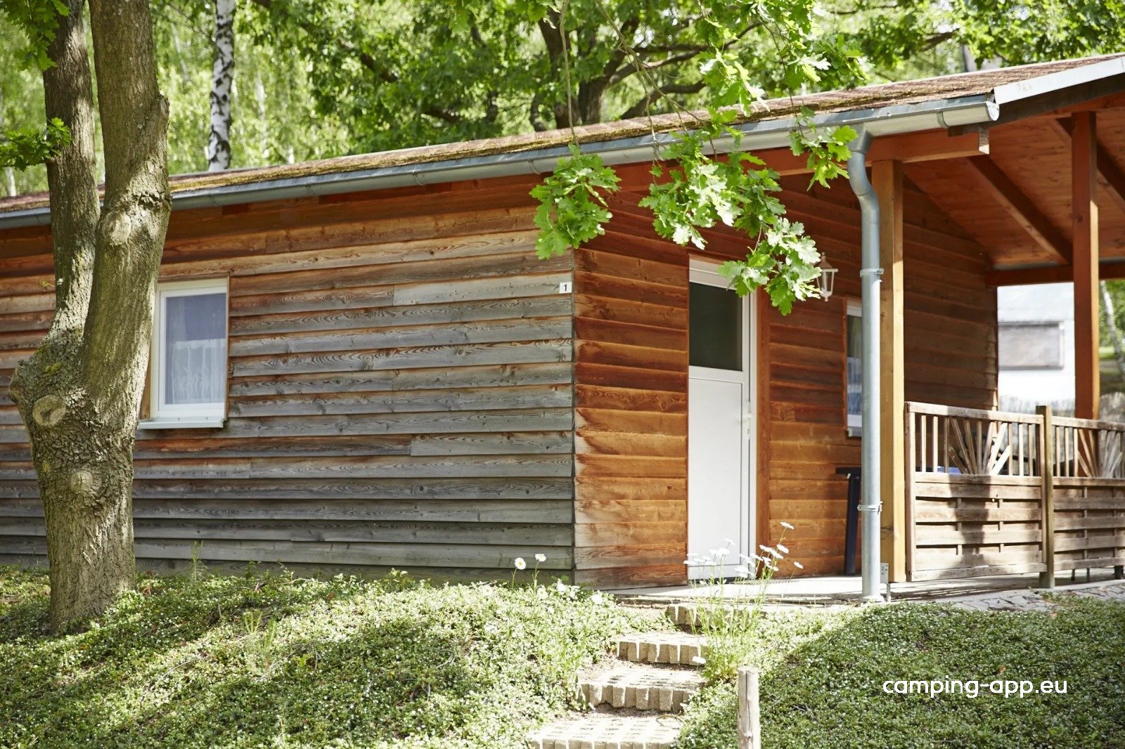 NaturCamp Olbasee — Photo 6