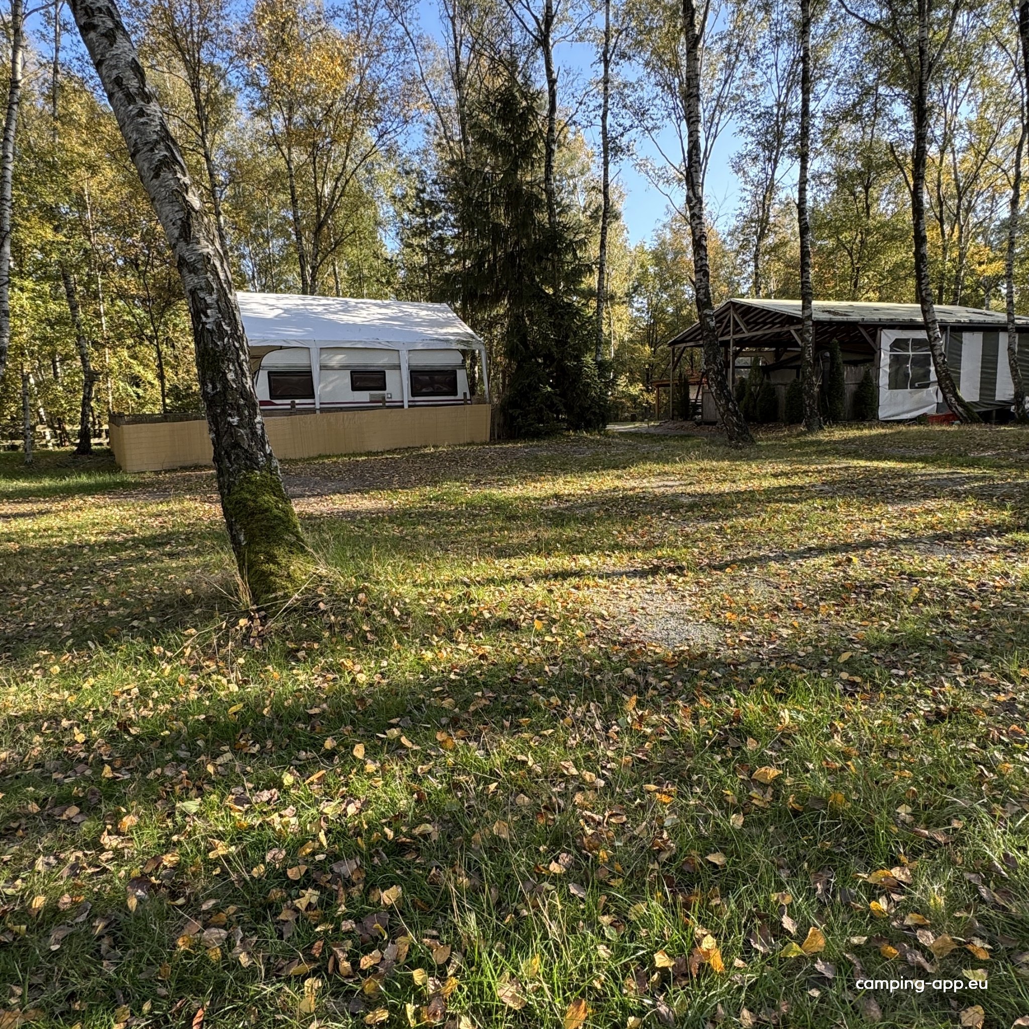 NaturCamp Olbasee — Photo 4