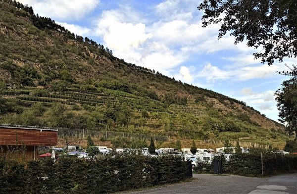 Camping Vogelsang — Photo 2