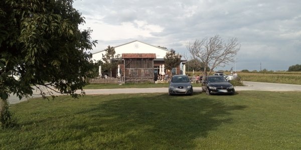 Stellplatz Sloboda — Winery in Podersdorf am See