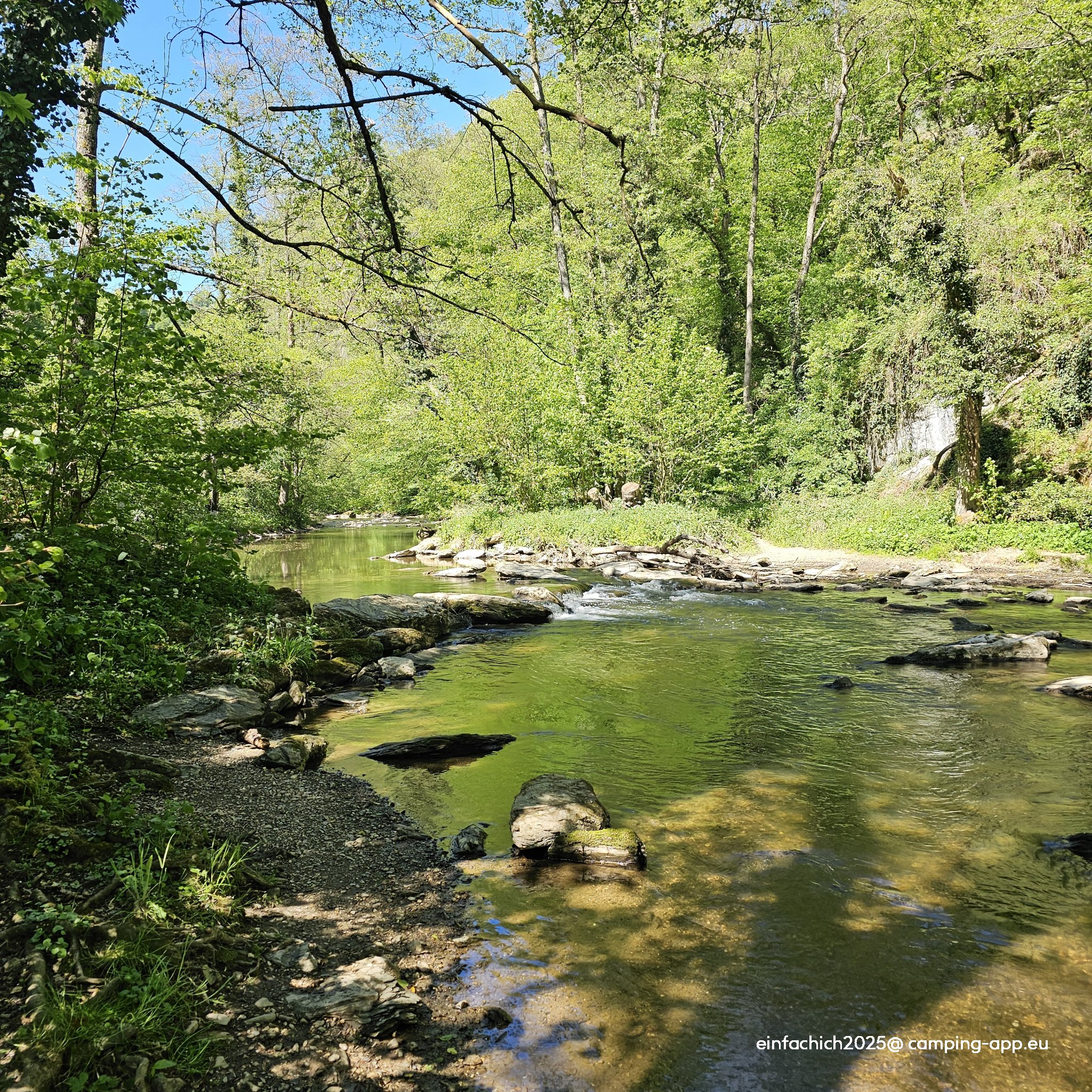 Haumühle Camping — Foto 5