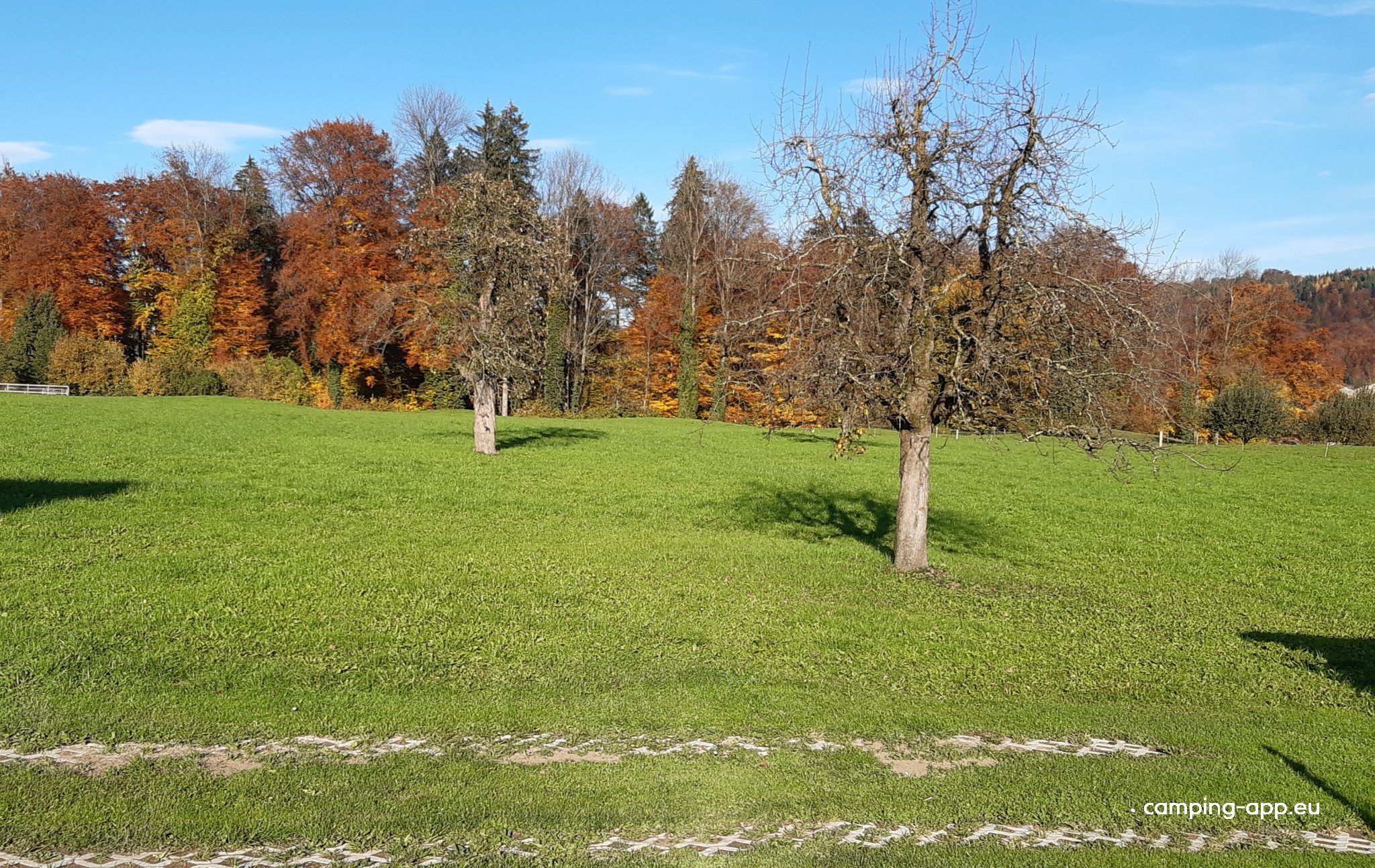Stellplatz Wallimann — Foto 3