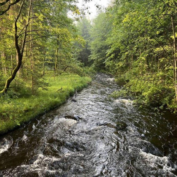 Campingplatz Green Village — Photo 3