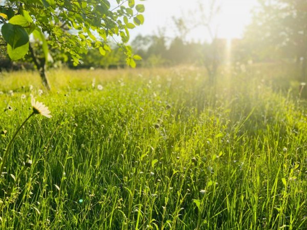 Klipphausen/Naustadt — Photo 2