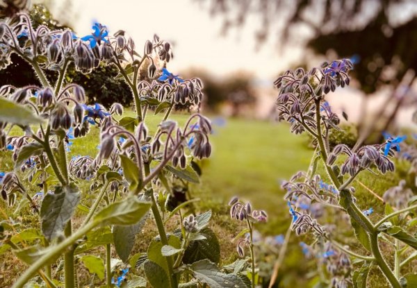 Klipphausen/Naustadt — Photo 4