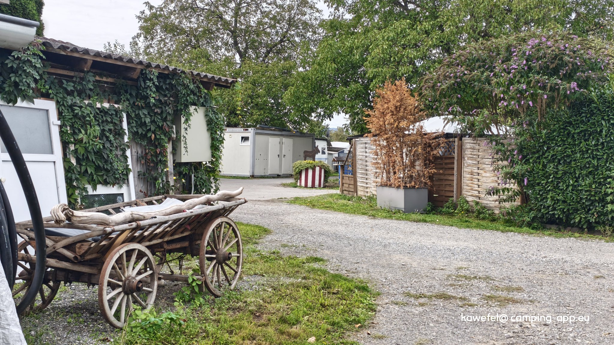 Camping Weiss — Foto 2