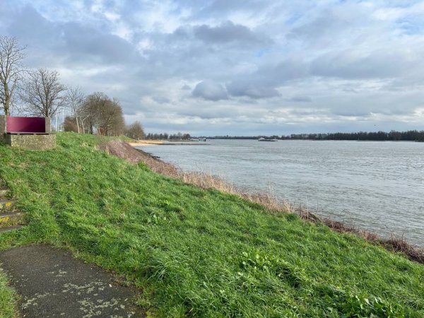 Camperplaats De Punt — Photo 2