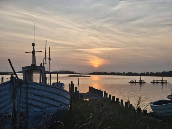 Bisserup Havn — Photo 6