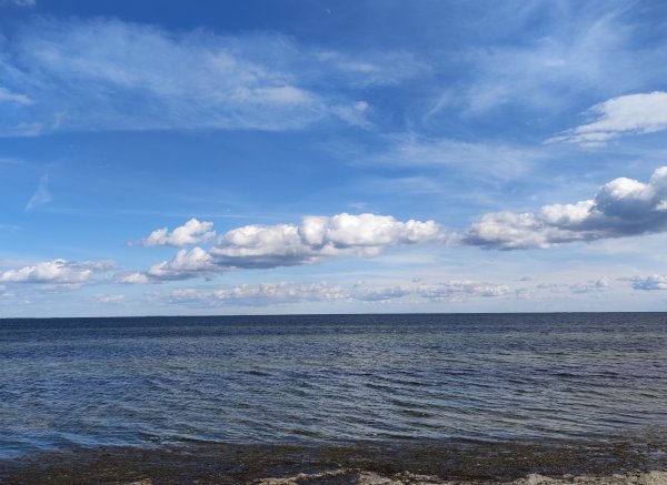 Bisserup Havn — Photo 4