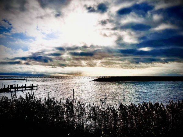 Bisserup Havn — Fotografie 3