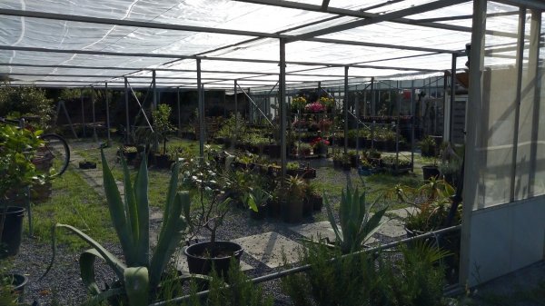 Area Camper Aloha — Photo 5