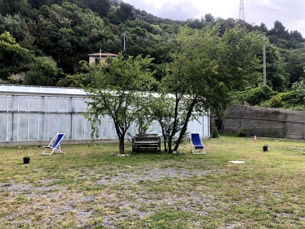 Area Camper Aloha — Photo 6