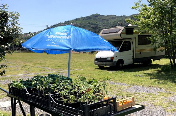 Area Camper Aloha — Photo 6