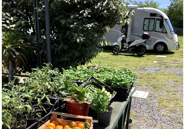 Area Camper Aloha — Photo 2