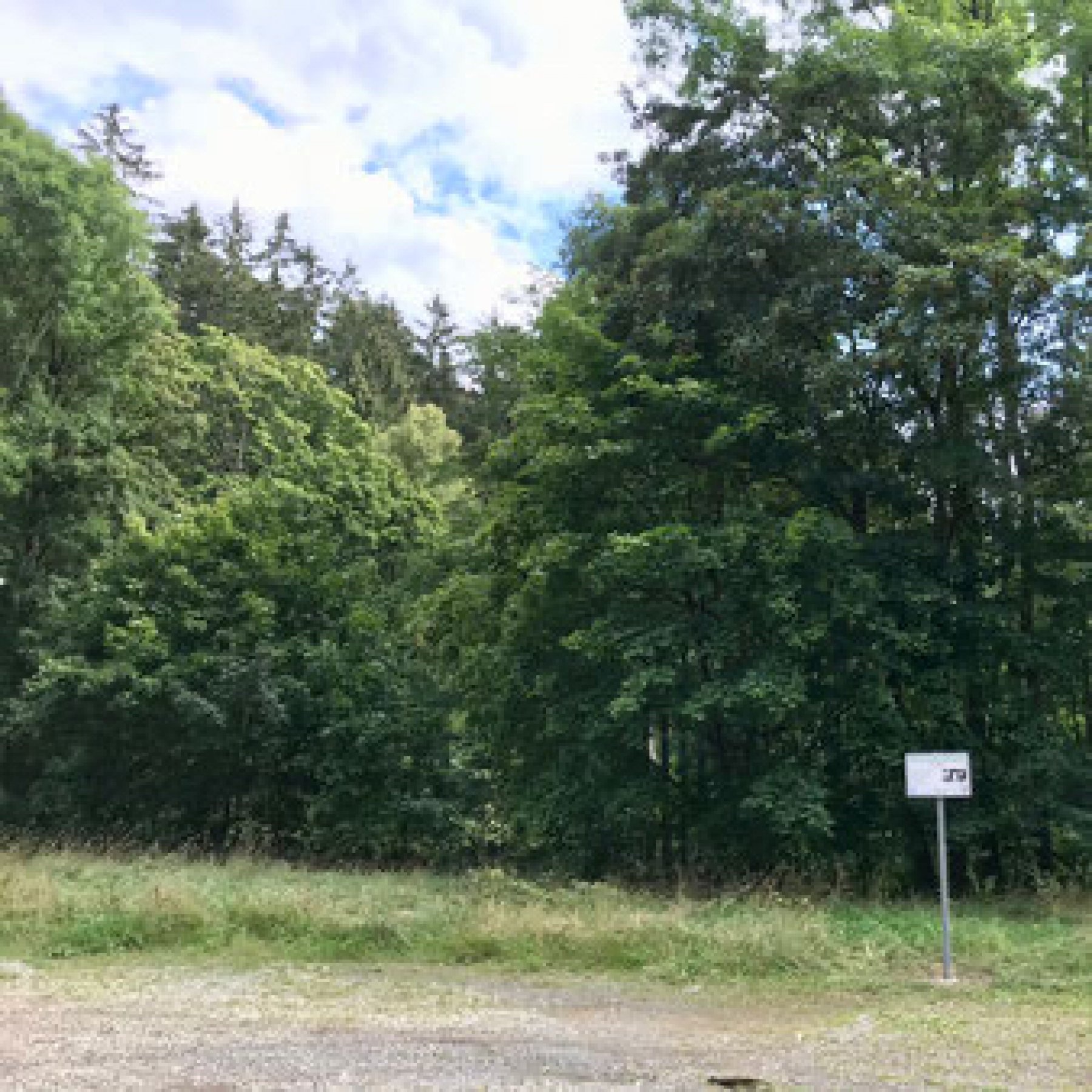 Stellplatz Bad Sachsa — Ställplats in Bad Sachsa