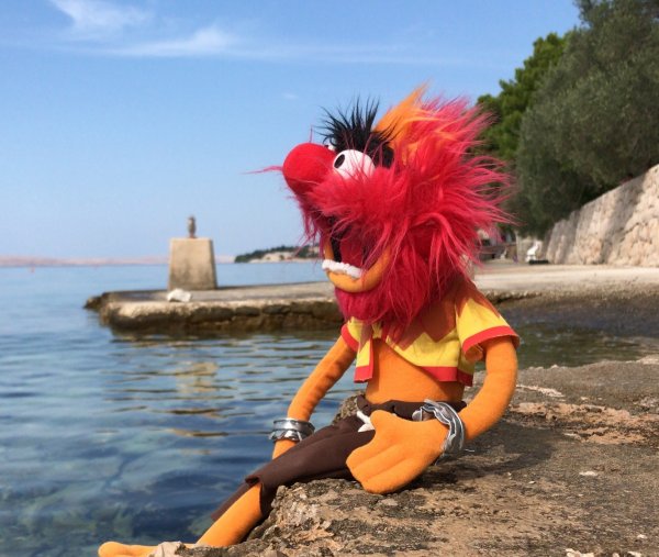 Ventura Camp — Photo 3