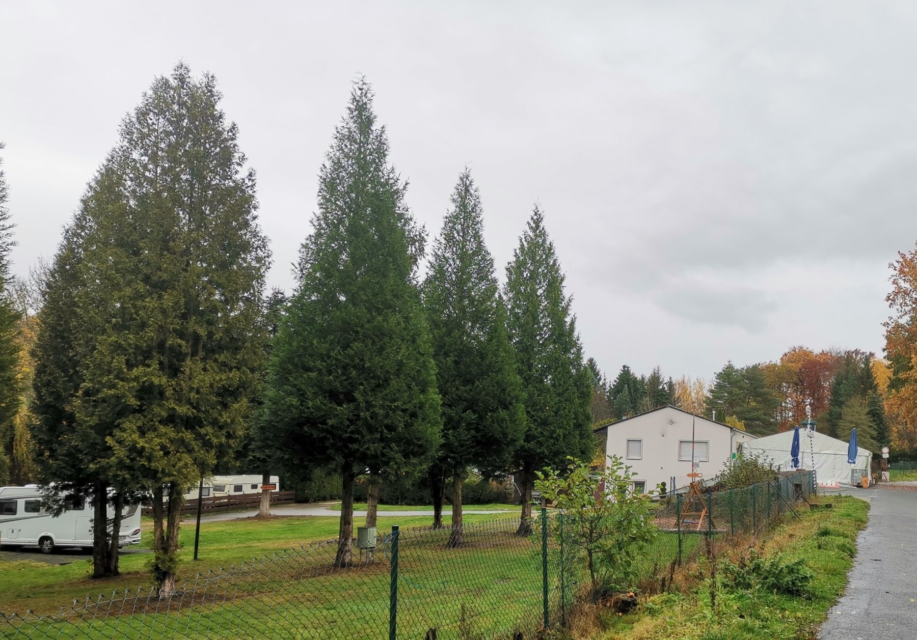 Campingplatz-Hauserbachsee — Camping in Miehlen