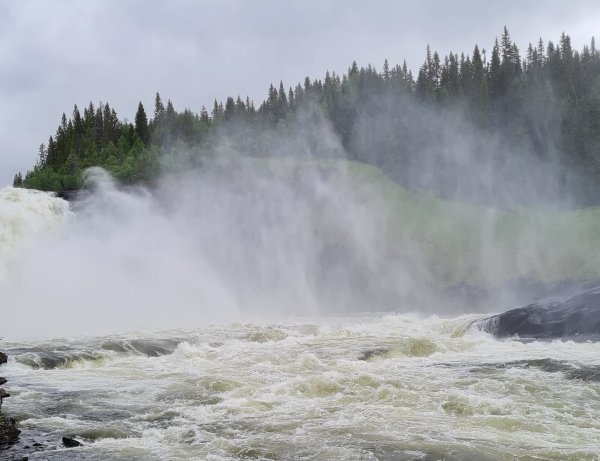 Tännforsen Fället — Camperplaats in Åre kommun