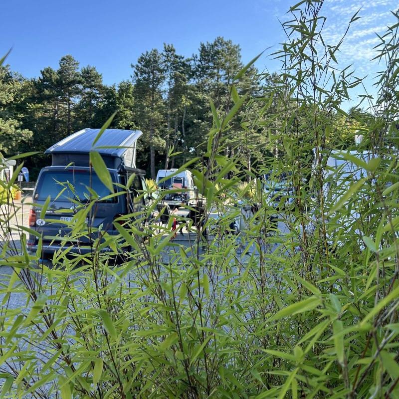 Campingplatz Strandgut — Campingplads in Cuxhaven