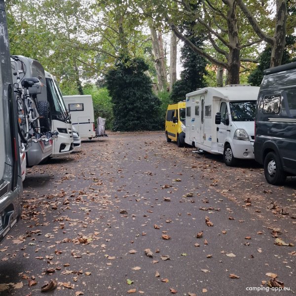 Stellplatz Wiesentorstraße Dresden — Foto 2