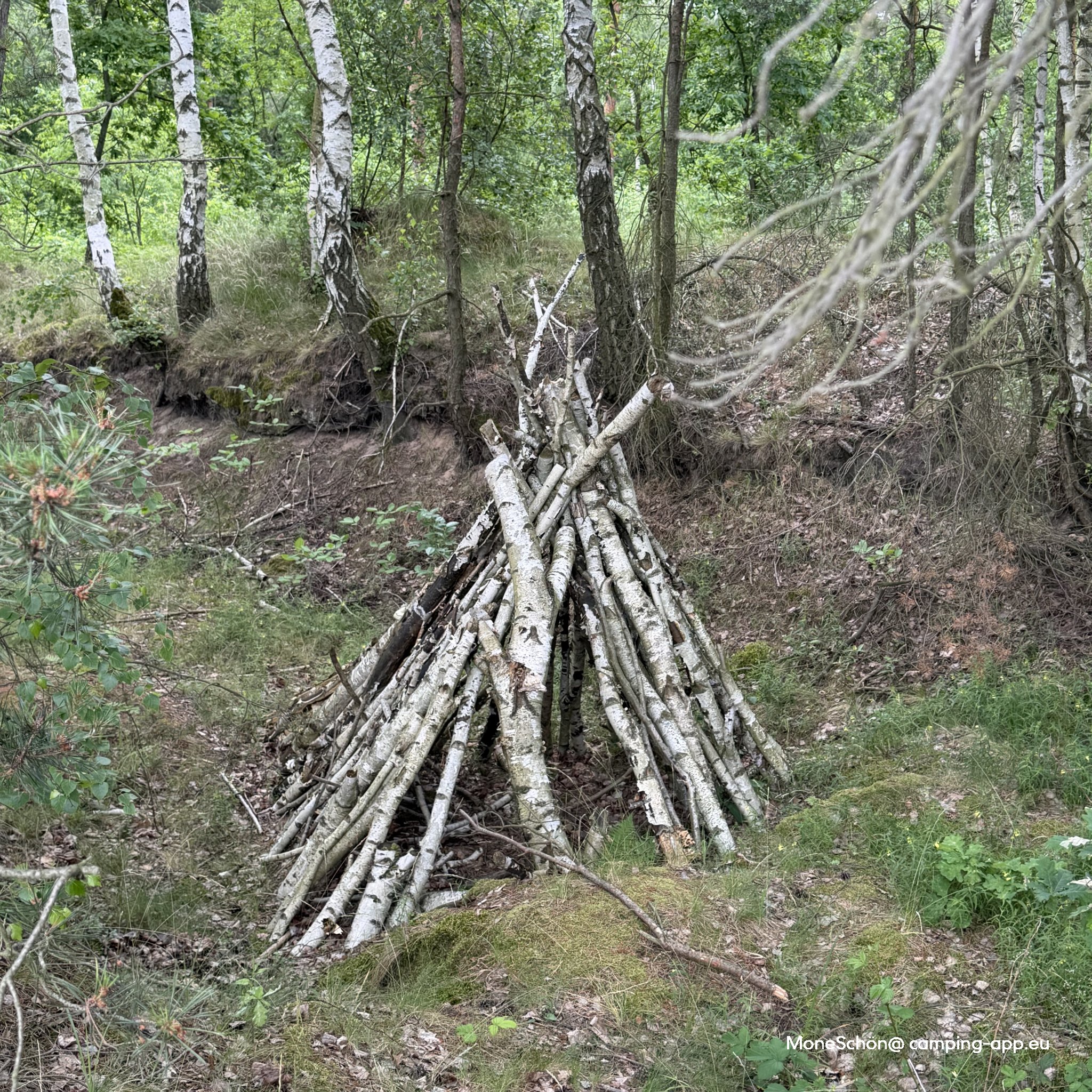 Marina Camp Bärwaldersee — Foto 5