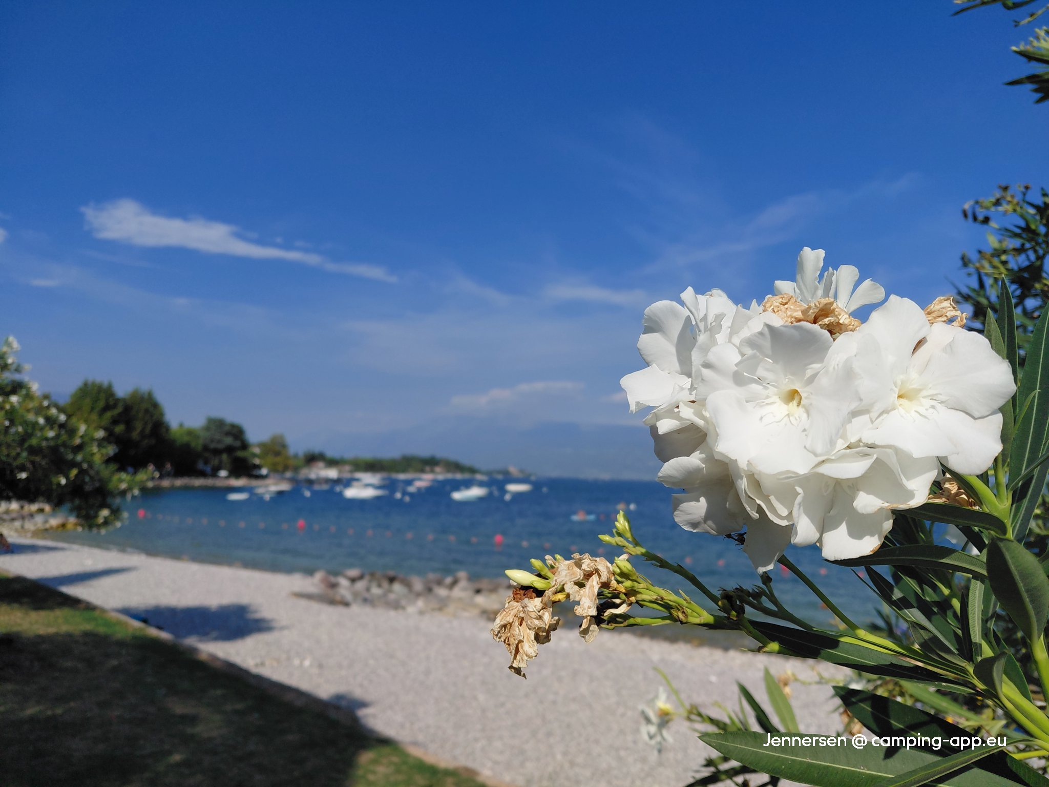 Camping Europa Silvella — Foto 6