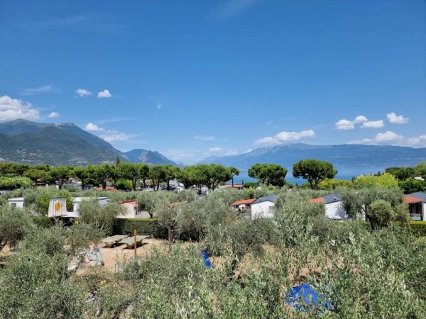 Villaggio Turistico Internazionale Eden — Photo 2