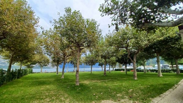 Campeggio del Sole — Photo 5