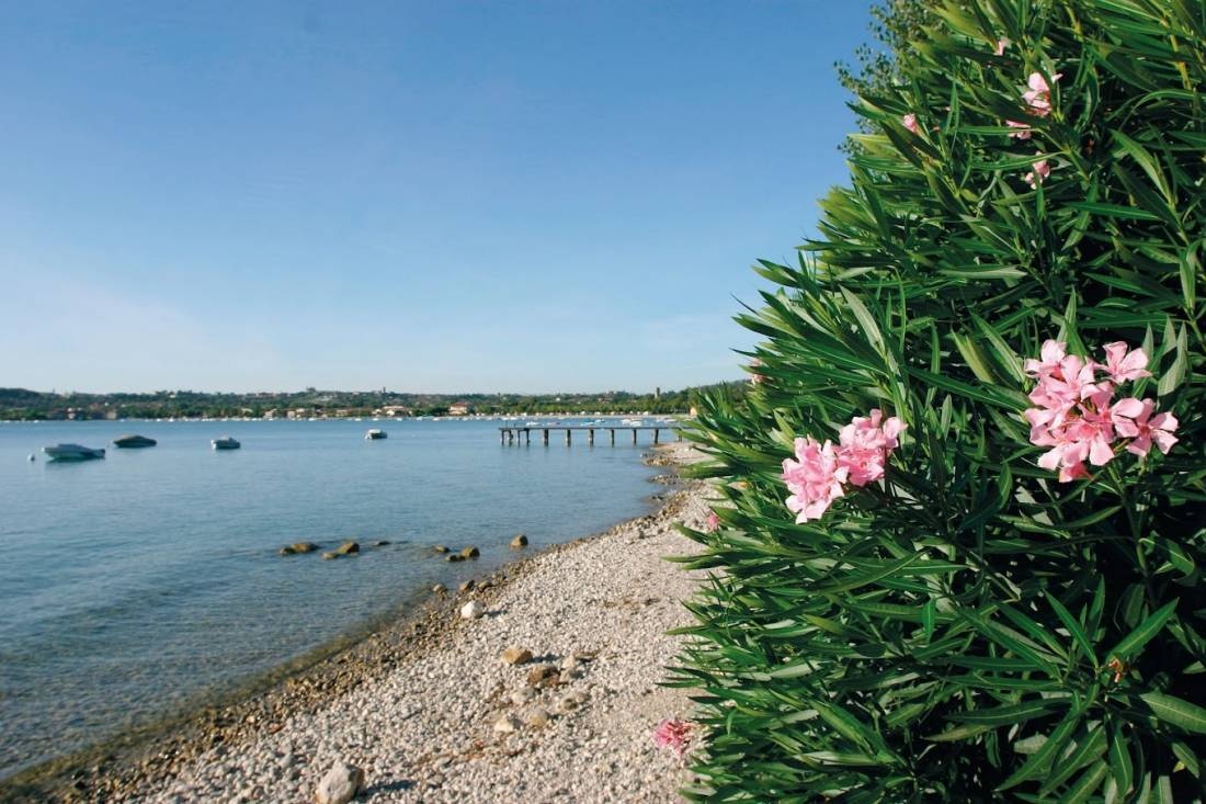 Concept Village Piccola Gardiola — Camping in San Felice del Benaco