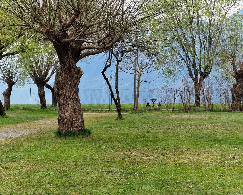 Camping Pian d`Oneda — 露营地 in Bagolino