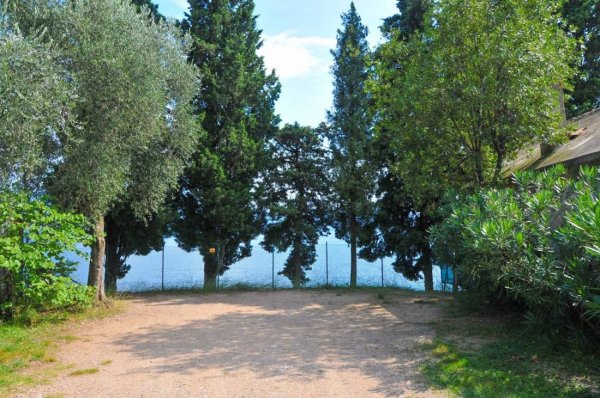 Camping Chiaro di Luna — Photo 3