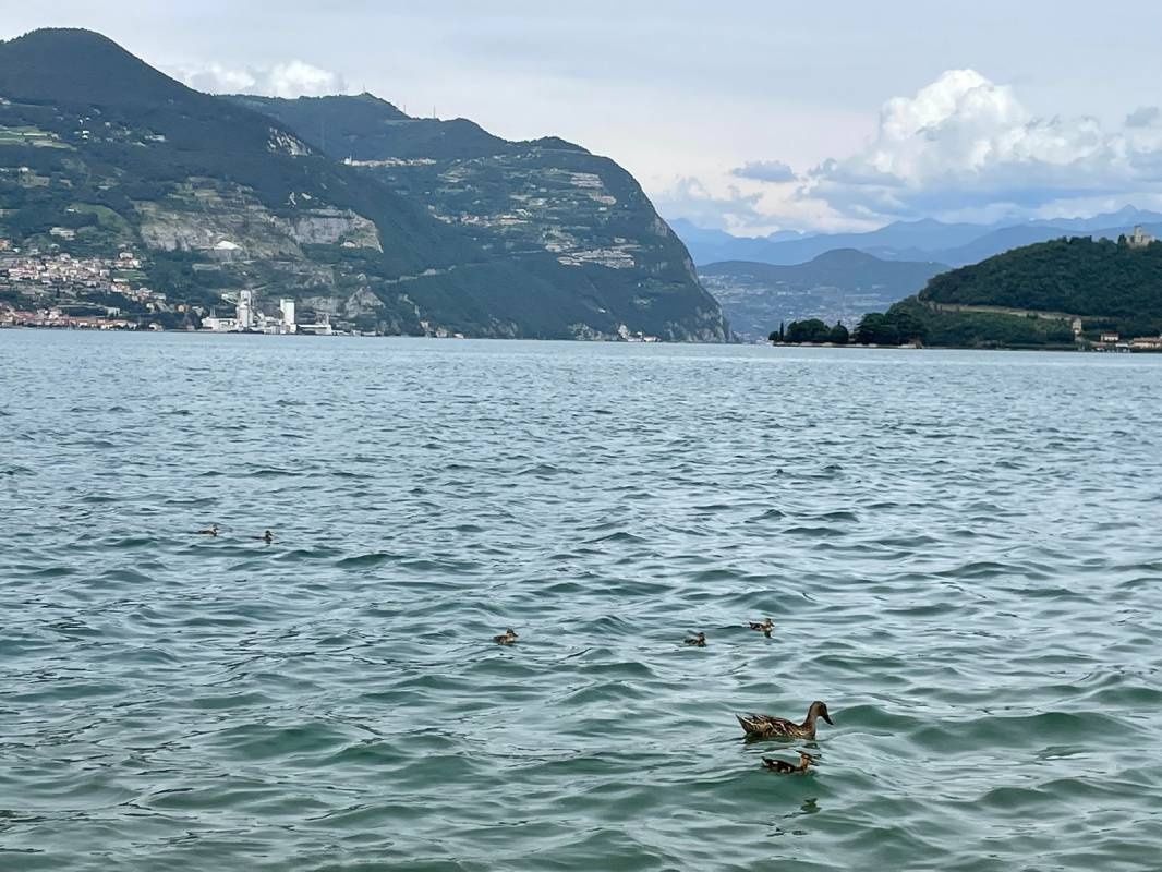 Campeggio Cave — 露营地 in Iseo