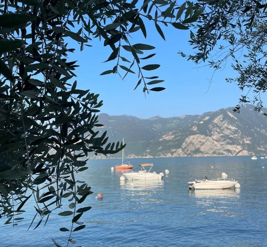 Campeggio Riva di San Pietro — Camping Site in Marone