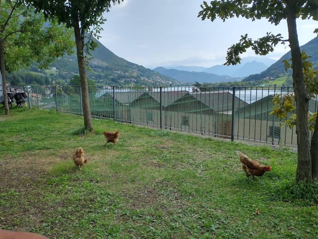 Camping La Tartufaia — 露营地 in Ranzanico Lago