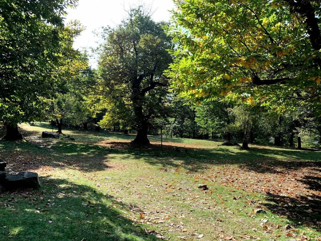 Campeggio San Rocco — Sítio de acampamento in Valsolda